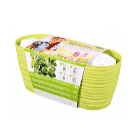 Truhlík ZAHRÁDKA SAHARA - OREGÁNO substrát + osivo 27 cm
