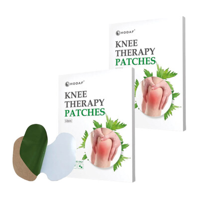 Wellife Náplasti proti bolesti kolen a kloubů 12 ks sada 2 balení