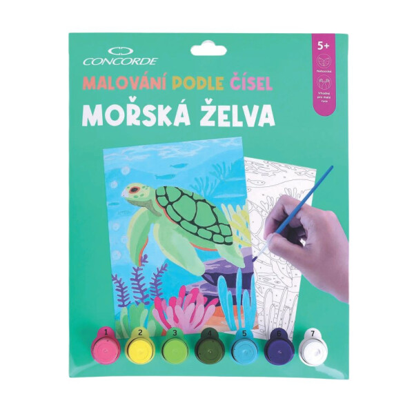 Malování podle čísel - Mořská želva